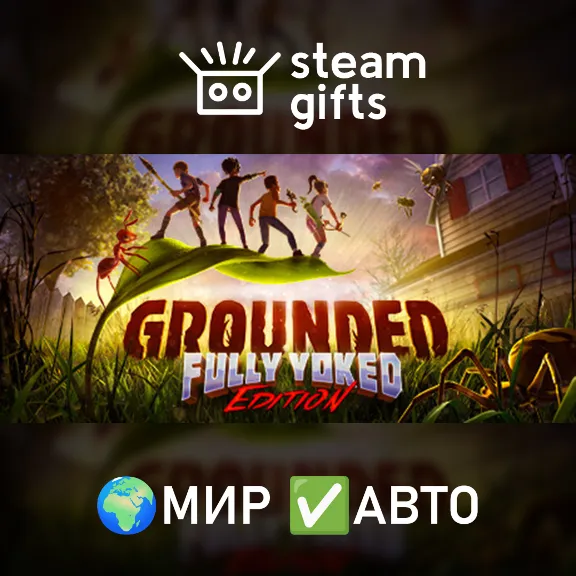 Grounded МИР АВТО