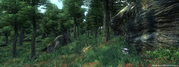 The Elder Scrolls IV Oblivion GOTY | Deluxe (2009) Ключ