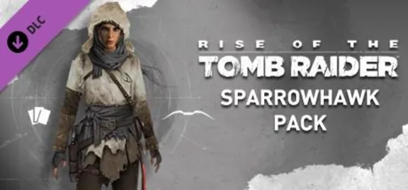РОССИЯ+МИР Tomb Raider Definitive Survivor Trilogy (21 в 1) STEAM КЛЮЧ + Бонус