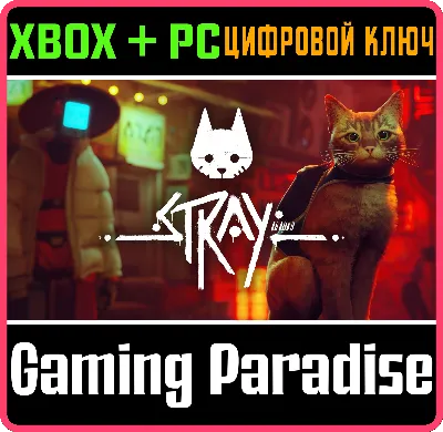 ❗🐱STRAY🐈🥇❗МОМЕНТАЛЬНО ❗XBOX+ПК🔑КЛЮЧ❗