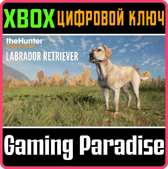 ❗THEHUNTER: CALL OF THE WILD - LABRADOR RETRIEVER🔑XBOX