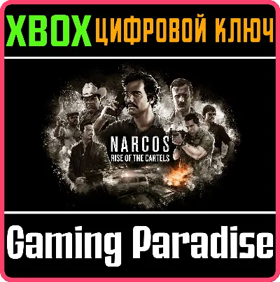 ❗NARCOS: RISE OF THE CARTELS❗XBOX ONE/X|S🔑КЛЮЧ❗