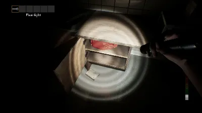 PANICORE STEAM АВТО RU/UA/KZ/СНГ