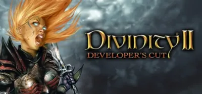 Divinity: Original Sin 2 - Eternal Edition✅STEAM GIFT AUTO✅RU+МИР