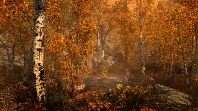 The Elder Scrolls V: Skyrim Special Edition✅STEAM GIFT AUTO✅RU+МИР
