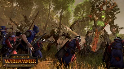 Total War: WARHAMMER - Realm of The Wood Elves✅STEAM GIFT AUTO✅RU+World