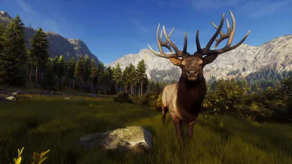 Way of the Hunter✅STEAM GIFT AUTO✅RU+МИР