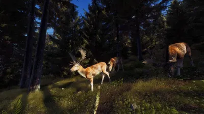 Way of the Hunter✅STEAM GIFT AUTO✅RU+МИР