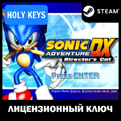 🔥Sonic Adventure DX STEAM KEY🔑 🌎GLOBAL + Bonus 🎁