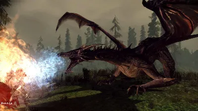 Dragon Age: Origins (Начало) Ключ EA app РФ+Мир +Бонус