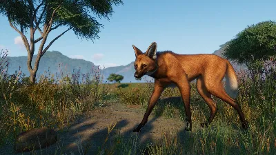 Planet Zoo: Grasslands Animal Pack Steam Ключ РФ+Мир