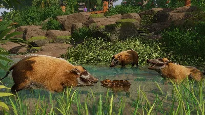 Planet Zoo: Tropical Pack Steam Ключ РФ+Мир +Бонус