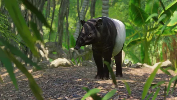 Planet Zoo Southeast Asia Animal Pack Steam Ключ РФ+Мир