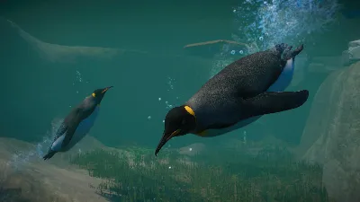 ⚫Planet Zoo: Aquatic Pack Steam Ключ РФ+Мир +Бонус