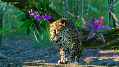 Planet Zoo: South America Pack Steam Key Global DLC