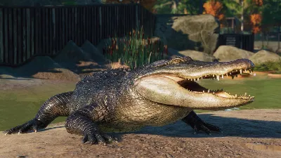 Planet Zoo: North America Animal Pack Steam Ключ РФ+Мир