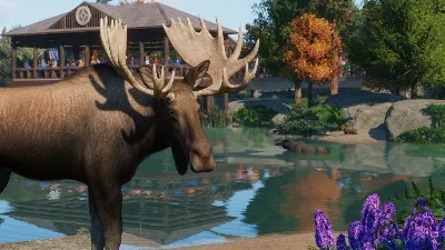 Planet Zoo: North America Animal Pack Steam Ключ РФ+Мир