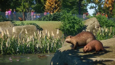 Planet Zoo: North America Animal Pack Steam Ключ РФ+Мир