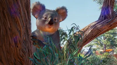 Planet Zoo: Australia Pack Steam Ключ РФ+Мир +Бонус