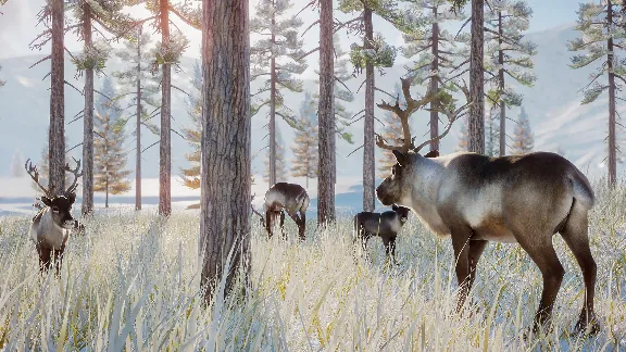 ⚫Planet Zoo: Arctic Pack Steam Key Global DLC +Bonus