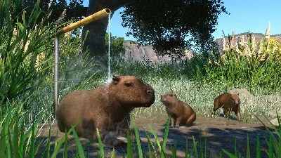 Planet Zoo: Wetlands Animal Pack Steam Ключ РФ+Мир