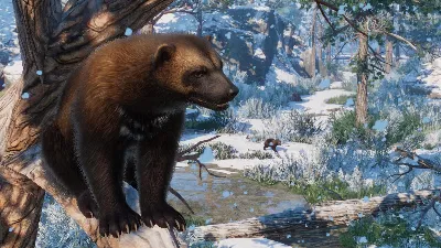 ⚫Planet Zoo: Eurasia Animal Pack Steam Ключ РФ+Мир