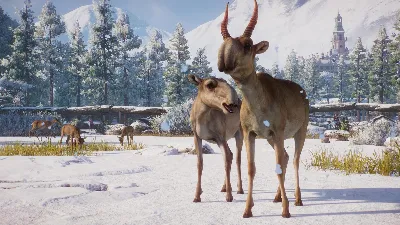 ⚫Planet Zoo: Eurasia Animal Pack Steam Ключ РФ+Мир