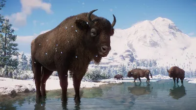 ⚫Planet Zoo: Eurasia Animal Pack Steam Ключ РФ+Мир