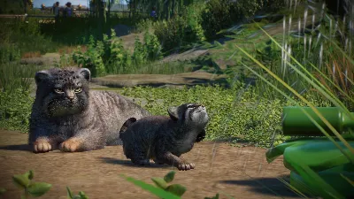Planet Zoo: Zookeepers Animal Pack Steam Ключ РФ+Мир