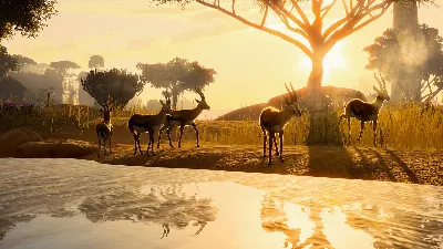 Planet Zoo: Deluxe Upgrade Pack Steam Ключ РФ+Мир +Бону