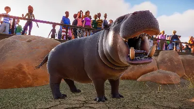 Planet Zoo: Deluxe Upgrade Pack Steam Ключ РФ+Мир +Бону