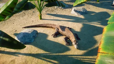 Planet Zoo: Deluxe Upgrade Pack Steam Ключ РФ+Мир +Бону