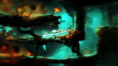 ⚫Ori and the Blind Forest Definitive Edition Steam Ключ