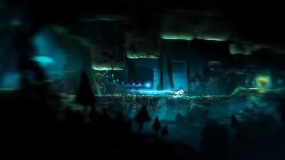⚫Ori and the Blind Forest Definitive Edition Steam Ключ