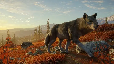 theHunter: Call of the Wild™ - Diamond Bundle XBOX 🔑