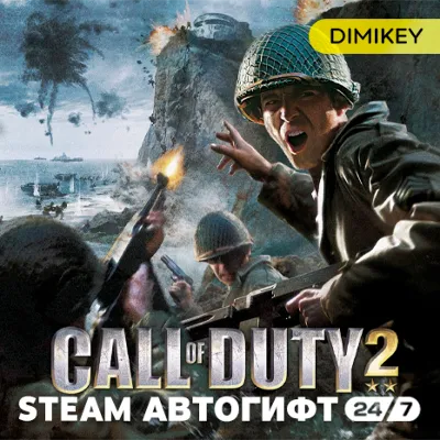 🟨 Call of Duty 2 (2005) Автогифт RU/KZ/UA/CIS