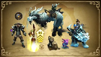 World of Warcraft Sha-Infused Epic Pack РФ/РБ КЛЮЧ