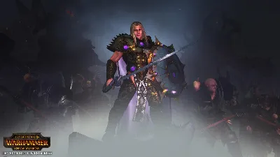 ⚫Total War Warhammer Chaos Warriors Race Pack Steam Key