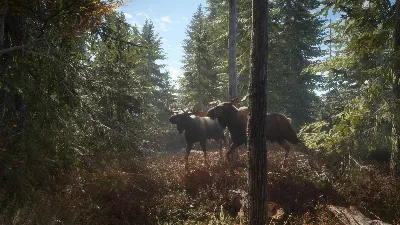 theHunter: Call of the Wild + 9 DLC Steam Key Global