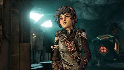 ⚫Borderlands 3 Director&acute;s Cut Steam Ключ РФ+СНГ +Бонус