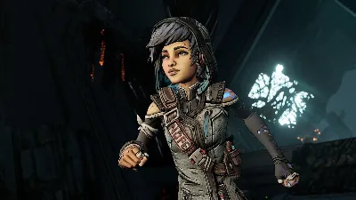 ⚫Borderlands 3 Director&acute;s Cut Steam Ключ РФ+СНГ +Бонус