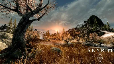 ⚫The Elder Scrolls V Skyrim VR Steam Ключ РФ+Мир +Бонус
