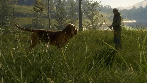theHunter Call of the Wild Bloodhound Steam Ключ РФ+Мир