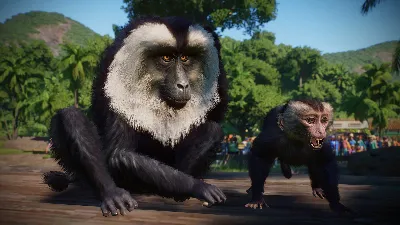 Planet Zoo: Asia Animal Pack * RU/KZ/CIS/TR/AR * DLC