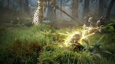 BLACK DESERT: НАБОР STANDARD XBOX SERIES S|X КЛЮЧ/КОД