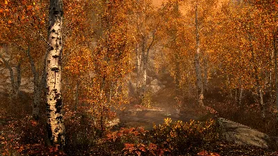 The Elder Scrolls V: Skyrim Special Edition Steam Ключ