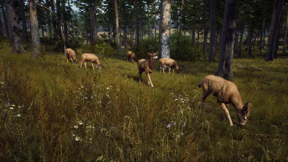 ✅❤️WAY OF THE HUNTER ELITE EDITION❤️XBOX|XS🔑КЛЮЧ✅