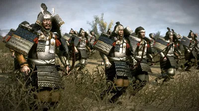 Total War: Shogun 2 Rise of the Samurai Campaign Steam