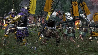 Total War: Shogun 2 The Ikko Ikki Clan Pack Steam Ключ