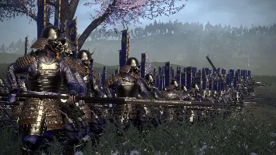 Total War: Shogun 2 Sengoku Jidai Unit Pack Steam Ключ